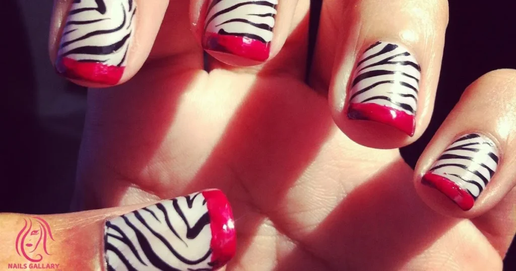 Black and White Zebra Print with Red Accent