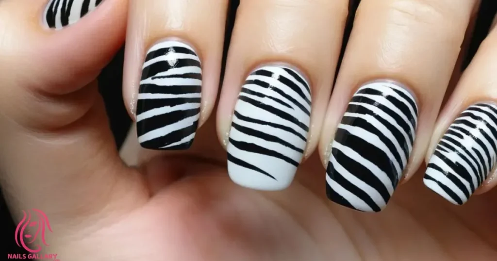  Zebra Stripes