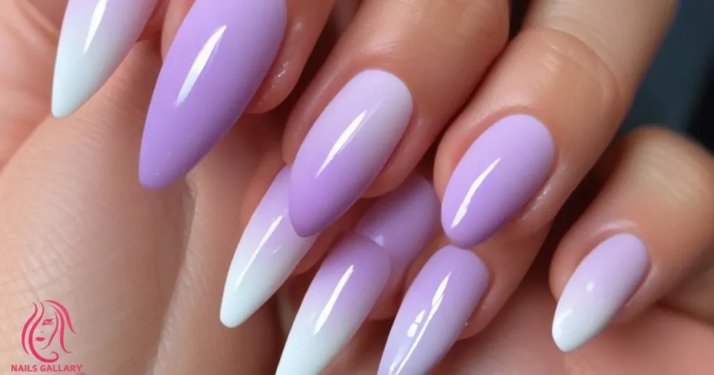 Lilac to White Ombre